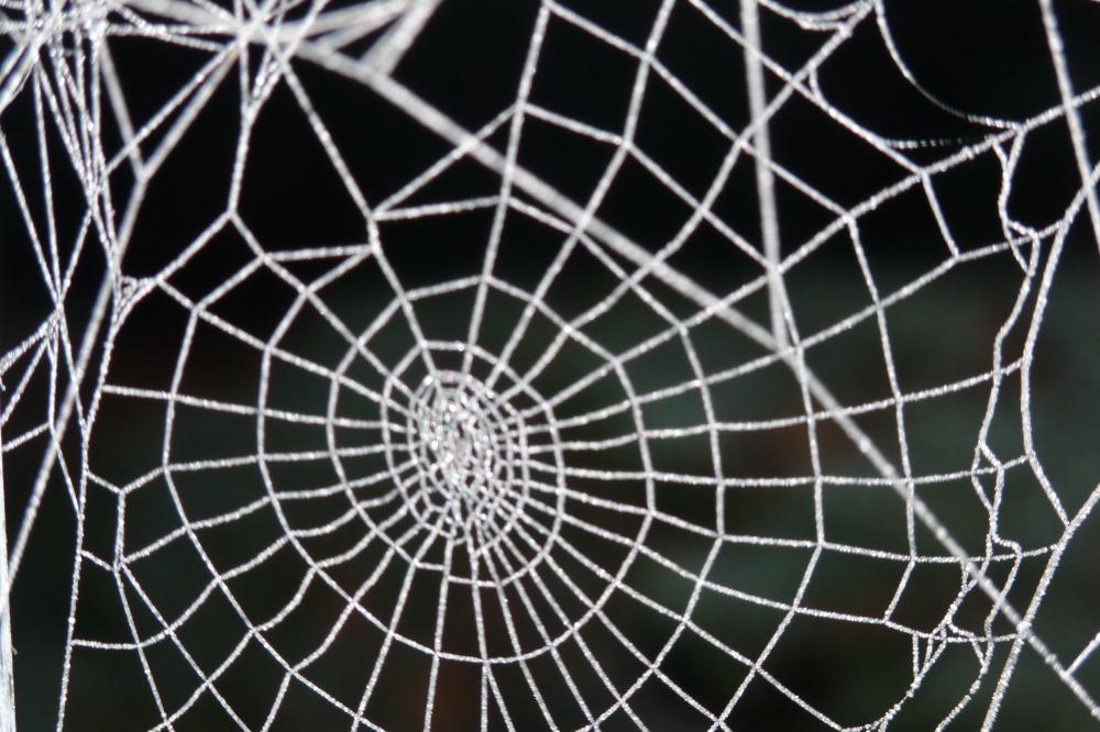 Transparenz