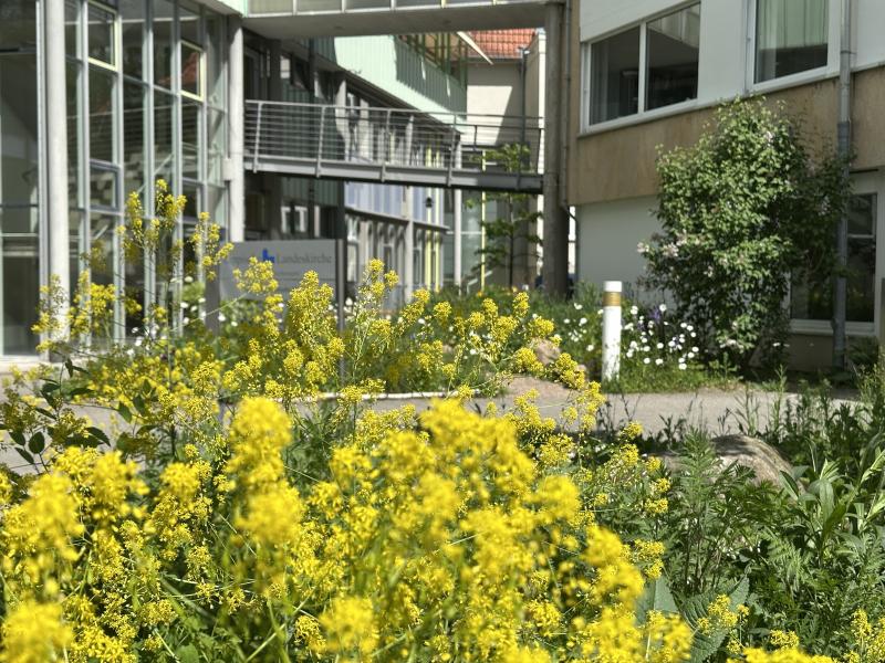 Umwelt – gerechte Schöpfung – ökologische Vielfalt