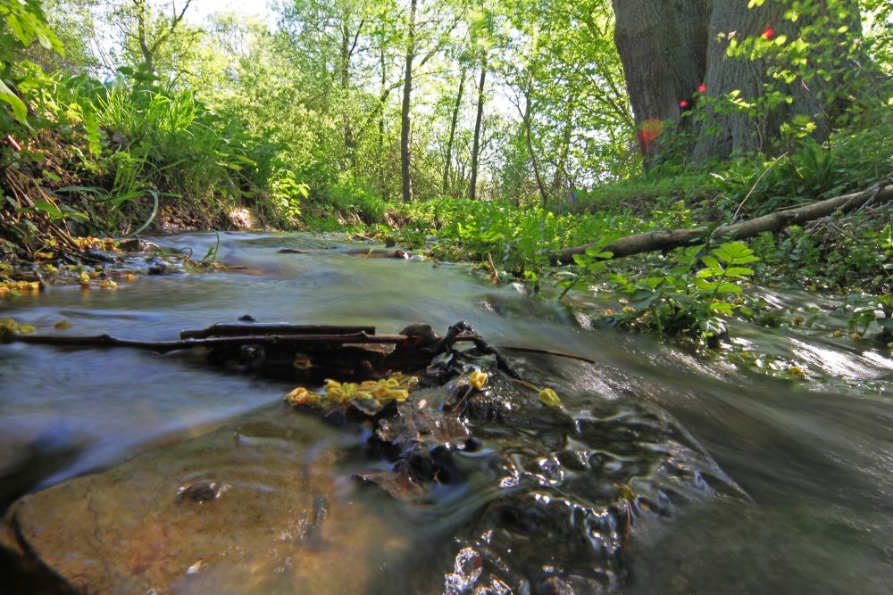 Spiritualität in der Natur